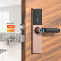 Xiaomi Mijia Smart Door Lock Youth: Serrure de porte intelligente