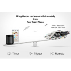 Interrupteur de chauffe-eau wifi avec minuterie et commande vocale, 4400 W,  bouton ON/OFF, fonctionne avec Alexa, Echo, Google et l'application Smart  Life